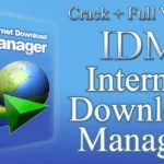 internet download manager full programlar indir