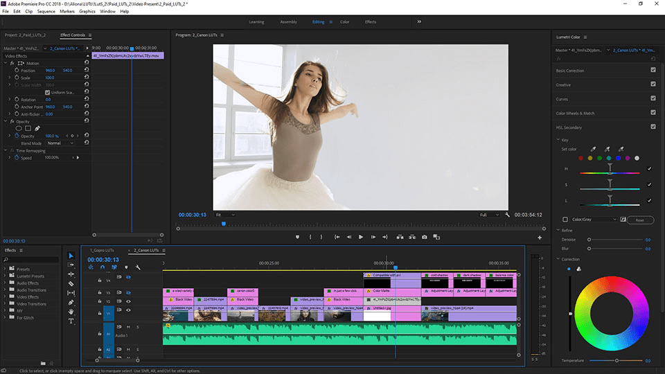 Adobe Premiere Pro 2024 Portable